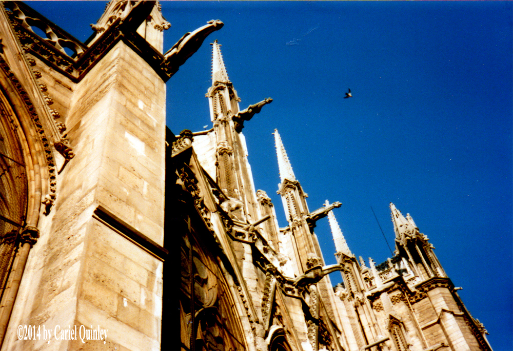 Norte-dame-cathedral